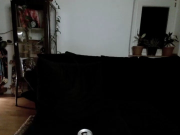 Pure_Otter  10-08-2021 Recorded Video Topless